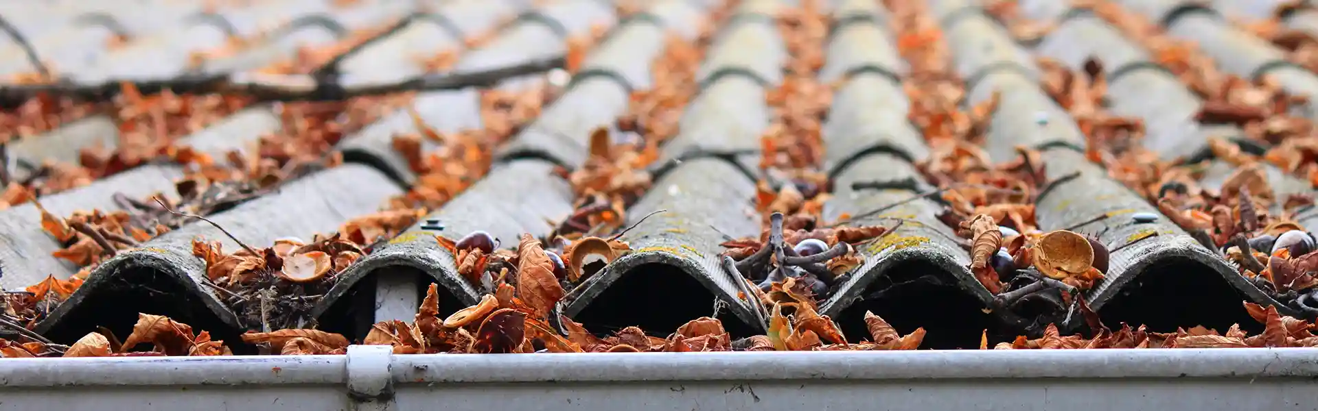 Palm Bay fl maintenance